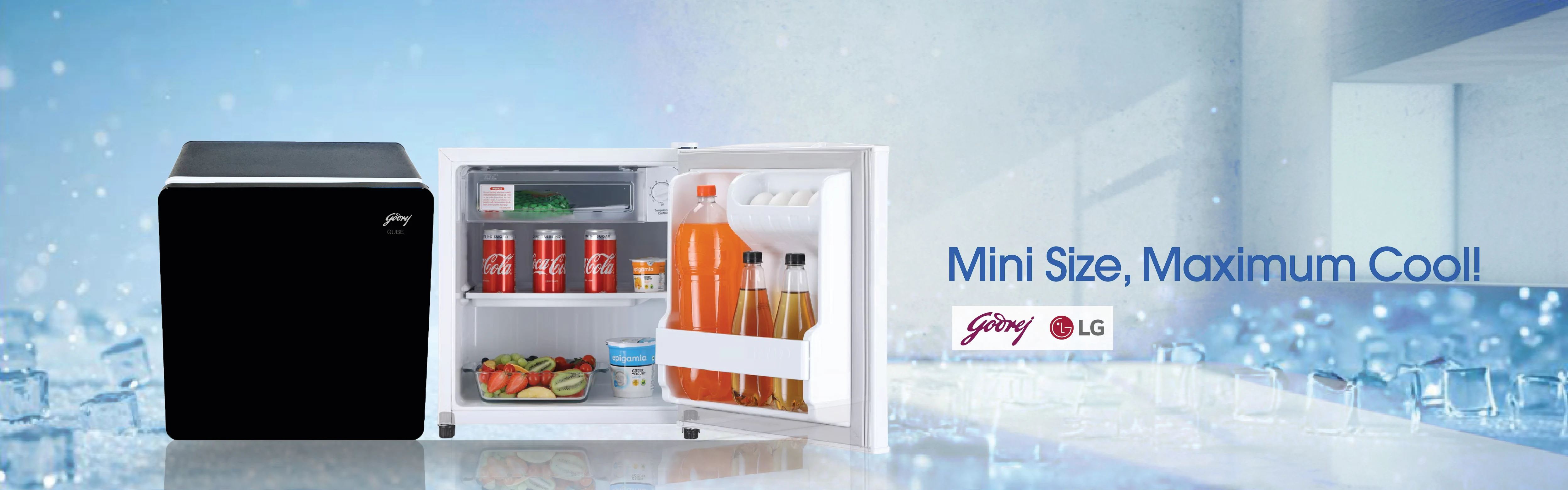 Mini Fridge